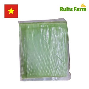 [루츠팜] 베트남 생 바나나잎 1kg 베트남바나나잎 banana leaf 생바나나잎, 1개