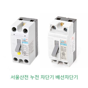 서울산전 누전차단기 배선차단기 2P 15A 20A 30A, 배선 30A(산업용), 1개