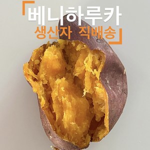 해남 베니하루카 산지직배송 꿀고구마 혼합(중상 특상), 1박스, 꿀고구마(중,특상) 5kg