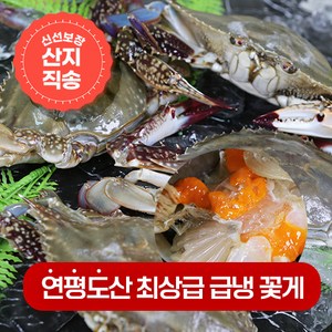 [순이네마켓] 서해 연평도산 가장 싱싱할때 급냉시킨 국내산 100% 냉동꽃게, 숫꽃게, 소자, 1kg, 1개