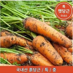 국내산 햇 흙당근 요리용 주스용 최상품, 흙당근(중)주스용1kg, 1개, 흙당근(중)주스용 1kg