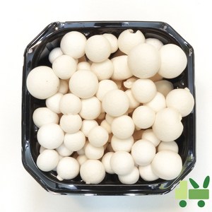 사라상회 만가닥버섯 (흰색) 1.5Kg (10팩), 1개