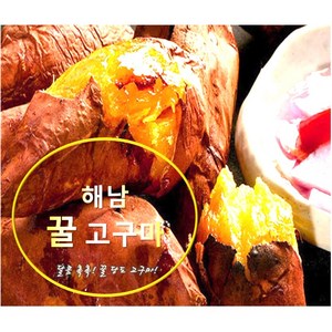 해남꿀고구마 2kg/3kg/5kg/10kg, 3kg(100-300g), 1개