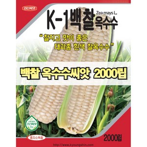 경신종묘 백찰옥수수 2000립 파종용 옥수수 씨앗 당일발송, 1개