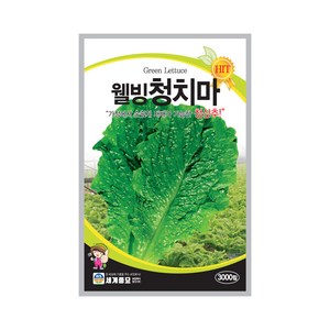 솔림텃밭몰 청치마상추씨앗 3000립 웰빙청치마 상추씨앗 상추씨, 1개