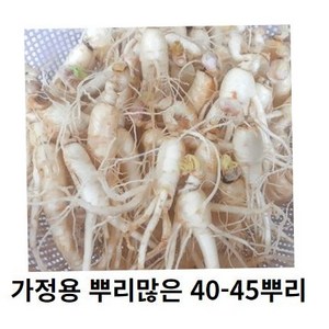 인삼 수삼 세척인삼 작은인삼뿌리 40-50뿌리, 700g 30-40뿌리세척 (0) +못난이대추(30g)