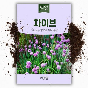 차이브 씨앗(400립) 허브씨앗, 1개