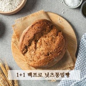 1+1 아침에 좋은빵 통밀100% 백프로 통밀빵 통밀식빵 식사빵 저당 저염 비건, 2개, 470g