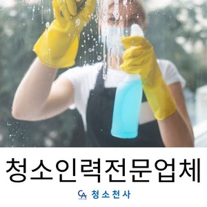 단기집안청소 하루청소도우미 가정집청소후기 저렴한방문청소 정기주거청소 저렴한이사청소, 1개