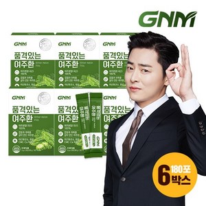 품격있는 국산 여주환 스틱 3g x 6박스 총 180포 / 여주분말 가루 100%, 90g, 6개