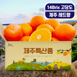 최고당도 제주 레드향 청정제주 레드향, 1개, 2kg