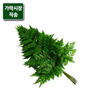 가락시장직송 노무라 1단(7-8개), 1개