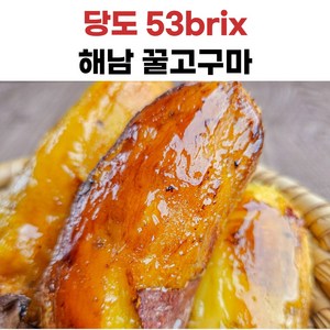 해남 황금꿀고구마, 10kg(한입), 1개