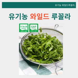 [바오농장] 유기농 와일드 루꼴라 샐러드 채소 산지직송, 100g, 2개