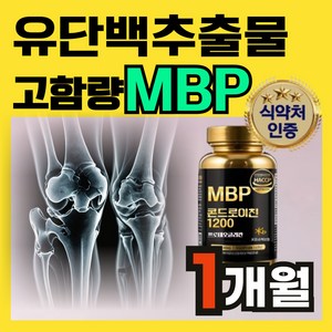 [뼈튼튼 관절튼튼] 고함량 mbp 식약청기능성인정 콘드로이친 1200, 1개, 60정