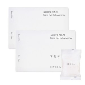생활공작소 실리카겔 제습제 본품, 400g, 2개