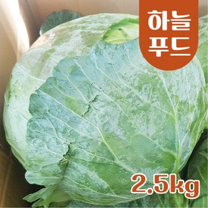 (2.5kg) 수입 양배추 식자재 한통 [원산지:중국], 1개, 2.5kg