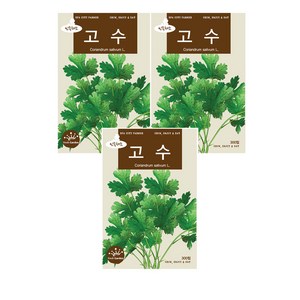 보람농자재 (허브씨앗종자) 고수 아시아향채(300립x3), 3개
