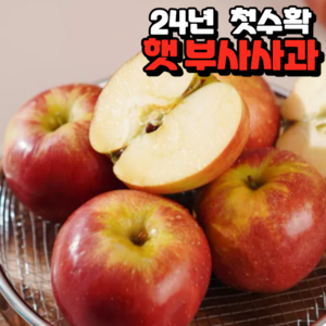 (애플고당도) 산지직송 24년 첫수확 햇사과 부사사과, 가정용 중소과 1kg 내외, 1박스, 1kg