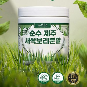 자연밭담 순수 제주 새싹보리 분말 에어분쇄, 170g, 2개