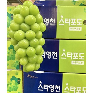 허니삼구 망고맛포도 당도보장 특품 프리미엄 샤인머스켓 2KG 4KG, 특품4kg(4~6송이), 1박스