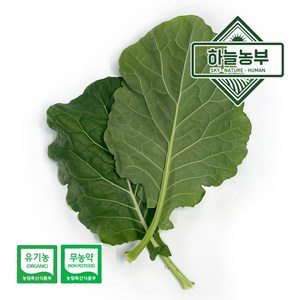 하늘농부 친환경 쌈케일 150g 무농약이상 케일 쌈채소, 1개