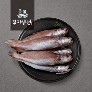 반건조 민어 조기 세트 반찬용 (부자생선), 어조기27cm 5마리, 1세트