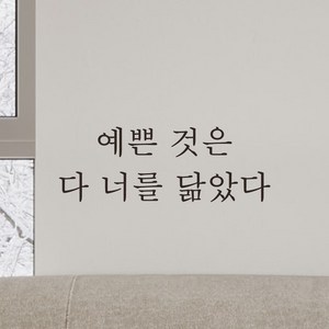 어썸투데이 예쁜 감성 문구 레터링 스티커 예쁜 것은 다 너를 닮았다, L-061, S, 검정