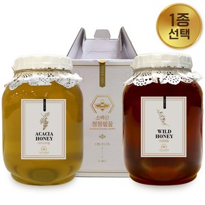 소백산청정농원 100%자연산 아카시아 꿀 2.4kg, 천연 아카시아꿀, 1개