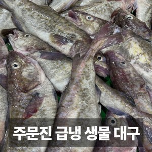 나만의건강by설리마켓 강원도 주문진 급냉 생물 대구 2kg, 1개, 2kg(3-4미)