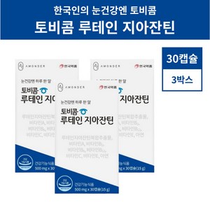 토비콤 루테인 안국약품 루테인지아잔틴 90캡슐, 90정, 1개