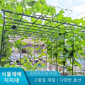 스마트셀링제이 포도나무 오이 지지대 방울토마토 옥상 넝쿨 파이프, 3. 180x180x240cm, 1. 지주대, 1개