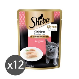 쉬바 고양이 간식/주식 파우치 70g, 12개