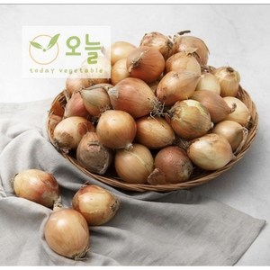 [오늘야채]25년 창녕 햇양파 꼬마양파(장아찌용), 1박스, 3kg