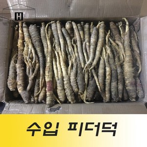 1kg 수입더덕/수입피더덕/중국산피더덕/중국산더덕/피더덕, 1개