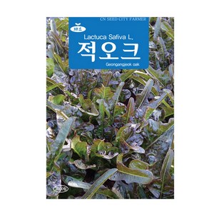 청농 적오크 상추씨앗 3000립 오크상추 종자 키우기, 1개