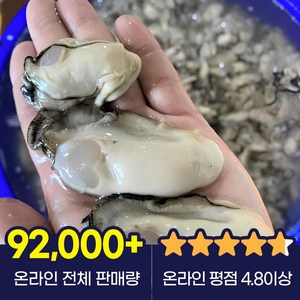 통영 굴 생굴 하프셀 석화, 1개, 생굴(중)1kg