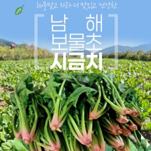 해풍이키운 남해 시금치 포항초 보물초 섬초, 1개, 500g