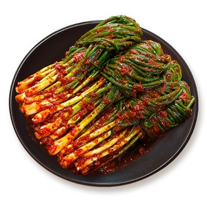 전라도 파김치 I 국산 천연재료 진한 감칠맛의 전라도김치, 3kg, 1개