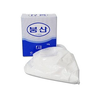 붕산 100g 바퀴벌레 구제 붕산가루 개미퇴치 과학실험 소독 안진약품, 1개