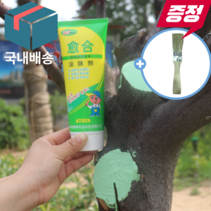바다봄 나무 상처보호제 톱신페스트 식물 도포제 치료제, 1개, 250g