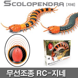 반디 무선로봇 지네, 랜덤 발송, 1