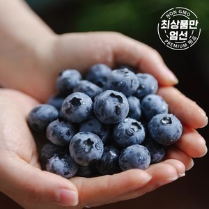 [고당도 천상의 맛] 꿀맛 생 블루베리 칠레산 항공직송 슈퍼푸드, 1세트, 250g (125g x 2팩)