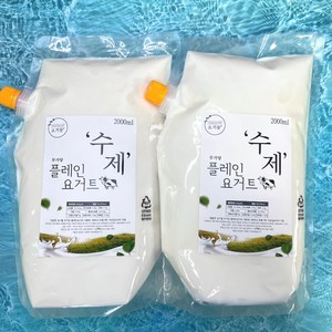 요거몰 수제 무가당 플레인 요거트 2000ml, 2개, 2L