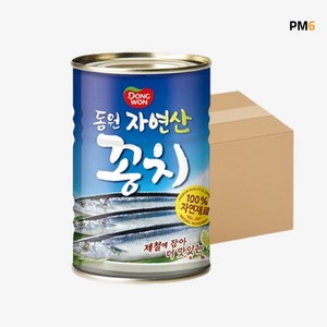 동원 자연산꽁치, 400g, 24개