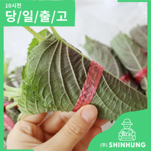 국산 깻잎 2kg 내외 한박스 [신흥유통], 1개