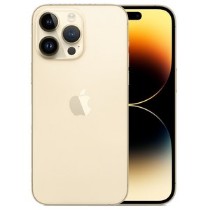 Apple 정품 아이폰 14 Po 자급제, 골드, 256GB