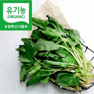 100%유기농 당일수확 산지직송 생 취나물, 1개, 1kg