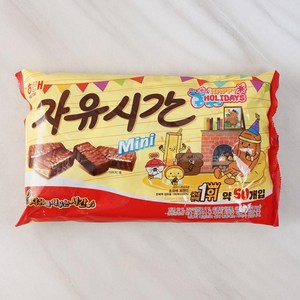 자유시간 미니 초콜릿, 500g, 1개