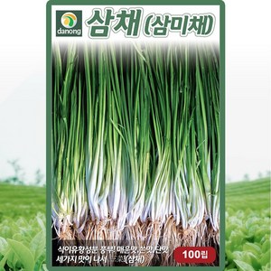 다농 삼채 씨앗 100립 삼미채 씨 삼체 약초 뿌리 부추 종자, 1개